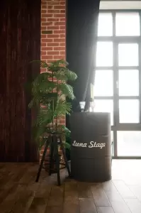 Фотография Leona Stage 1